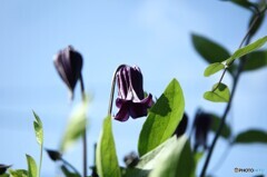 もっと高く