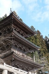 見守り続けて(概200年)