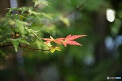 少しづつ