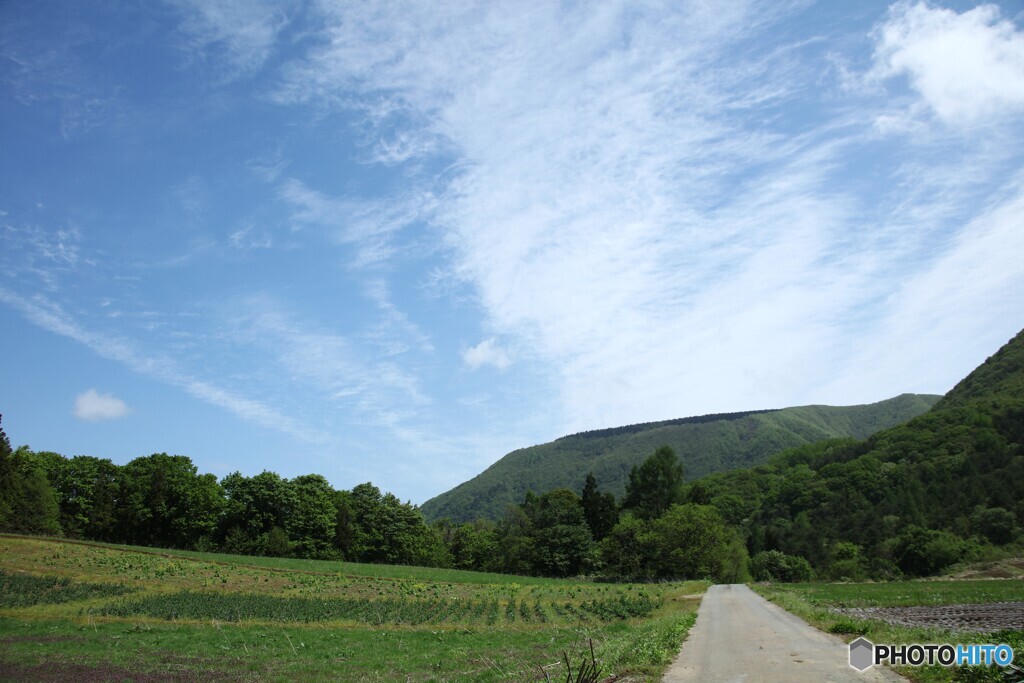 高原の道