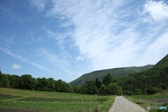 高原の道