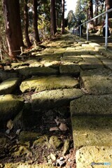 願い込めて一歩づつ