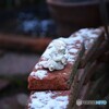 春の淡雪