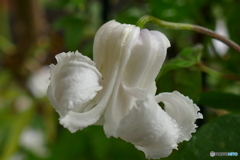 最後の最後まで