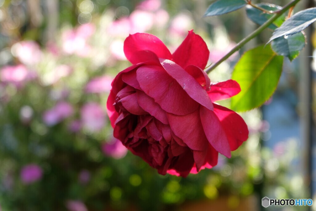 気持ちが萎えて