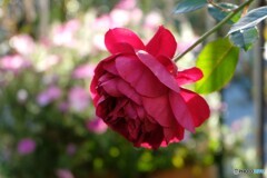 気持ちが萎えて