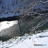 春待つ染井