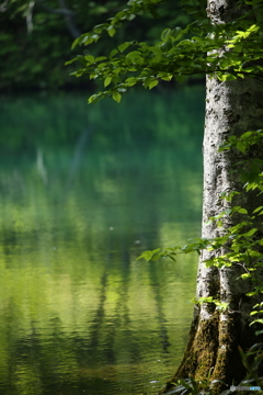 水鏡