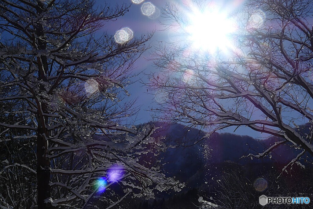 晴れてても小雪が