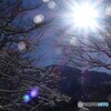 晴れてても小雪が