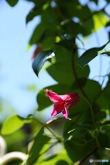 耀く時