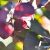 温陽受けて