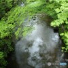 激しい夏雲映して