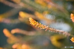 着実に