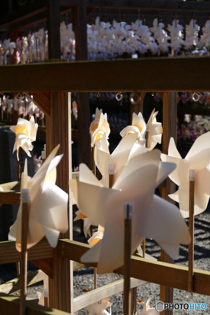 冬風にクルクル