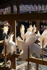 冬風にクルクル