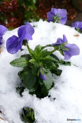 白いステージで