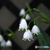冷たい雨に頬濡らして