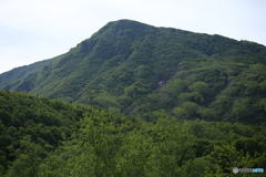 鎮座