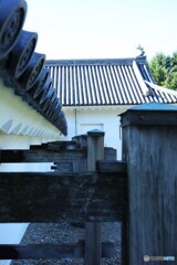 秋の甍
