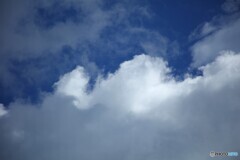 湧き出る夏雲