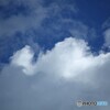 湧き出る夏雲