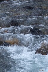 朝日連峰の冷水