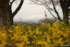 遥かな霊峰