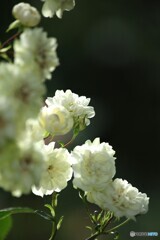 厳しい時節でも