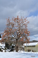 晴れ間の山里