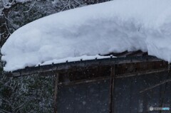 重圧に屈す