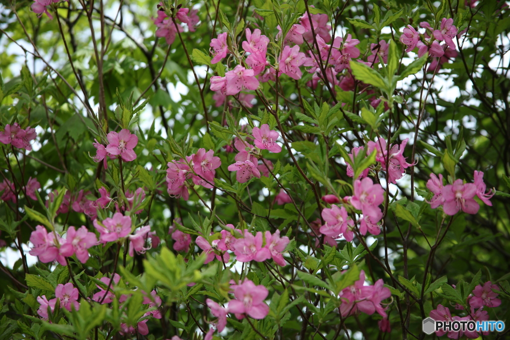 満面のお出迎え