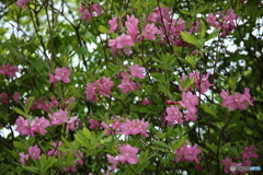 満面のお出迎え