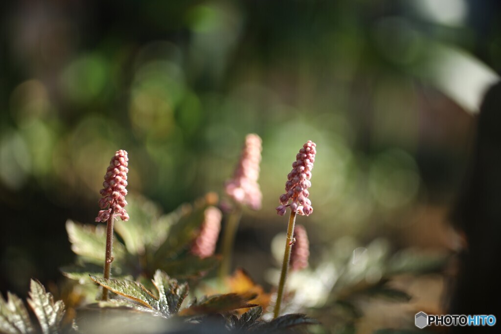 すくすくと準備中