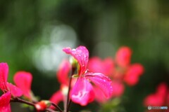 涙溜めて