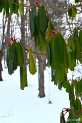 項垂れて