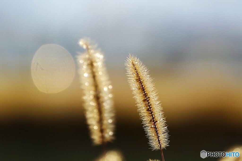 小さなキラキラ