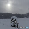 雪降る中の薄陽