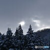 冬陽の目覚め