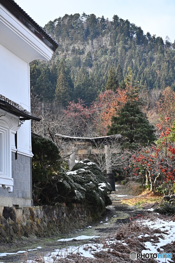 白壁の似合う参道