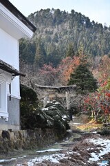 白壁の似合う参道