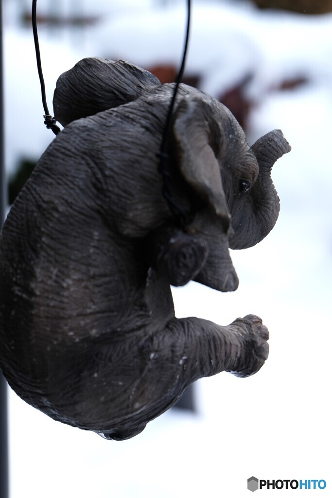 ぞうさん ぞうさん