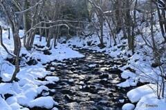 冷水の輝き
