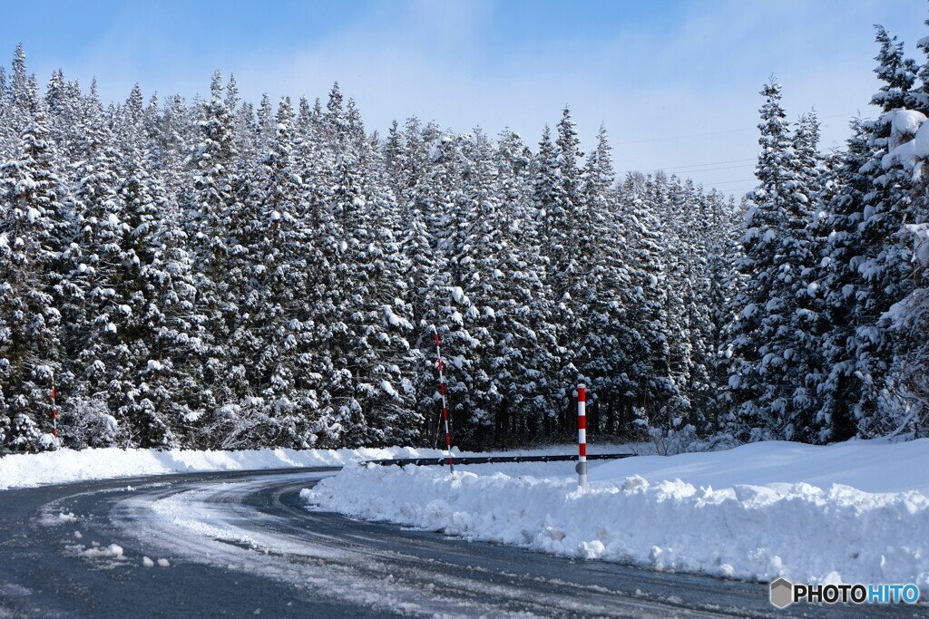 凛としたカーブ