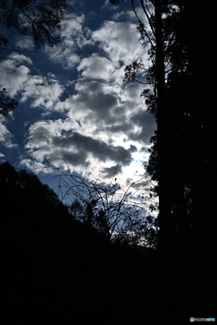 見上げる冬空