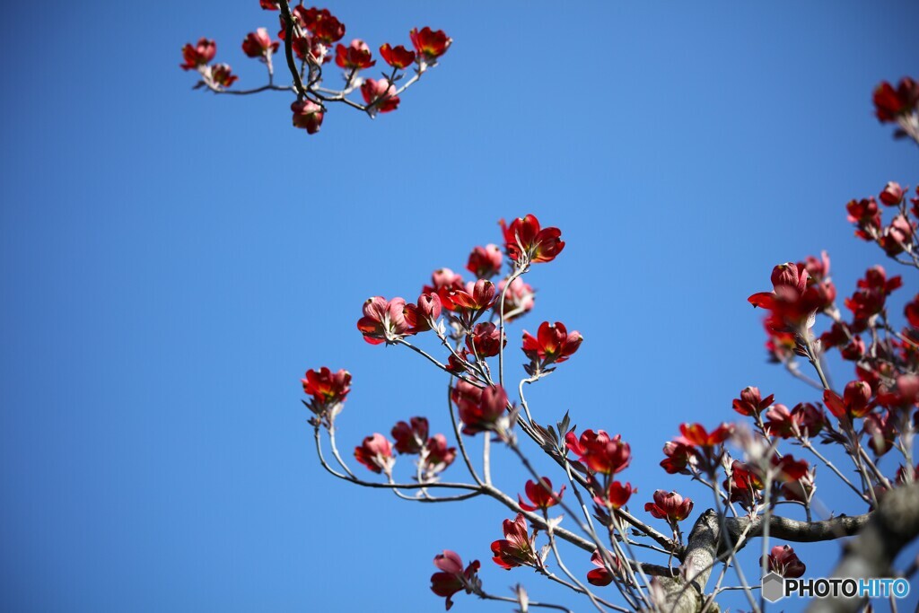 春空