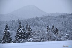 静寂