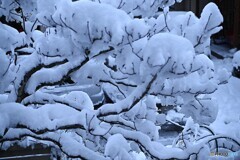 重さに耐えて