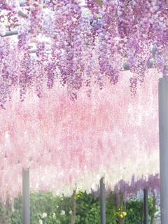一面のパステルカラー