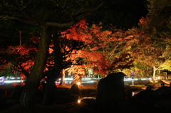 松山城二之丸庭園 夜ノ章